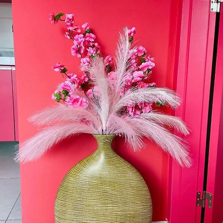 O Apartamento Rosa João Pessoa Extérieur photo