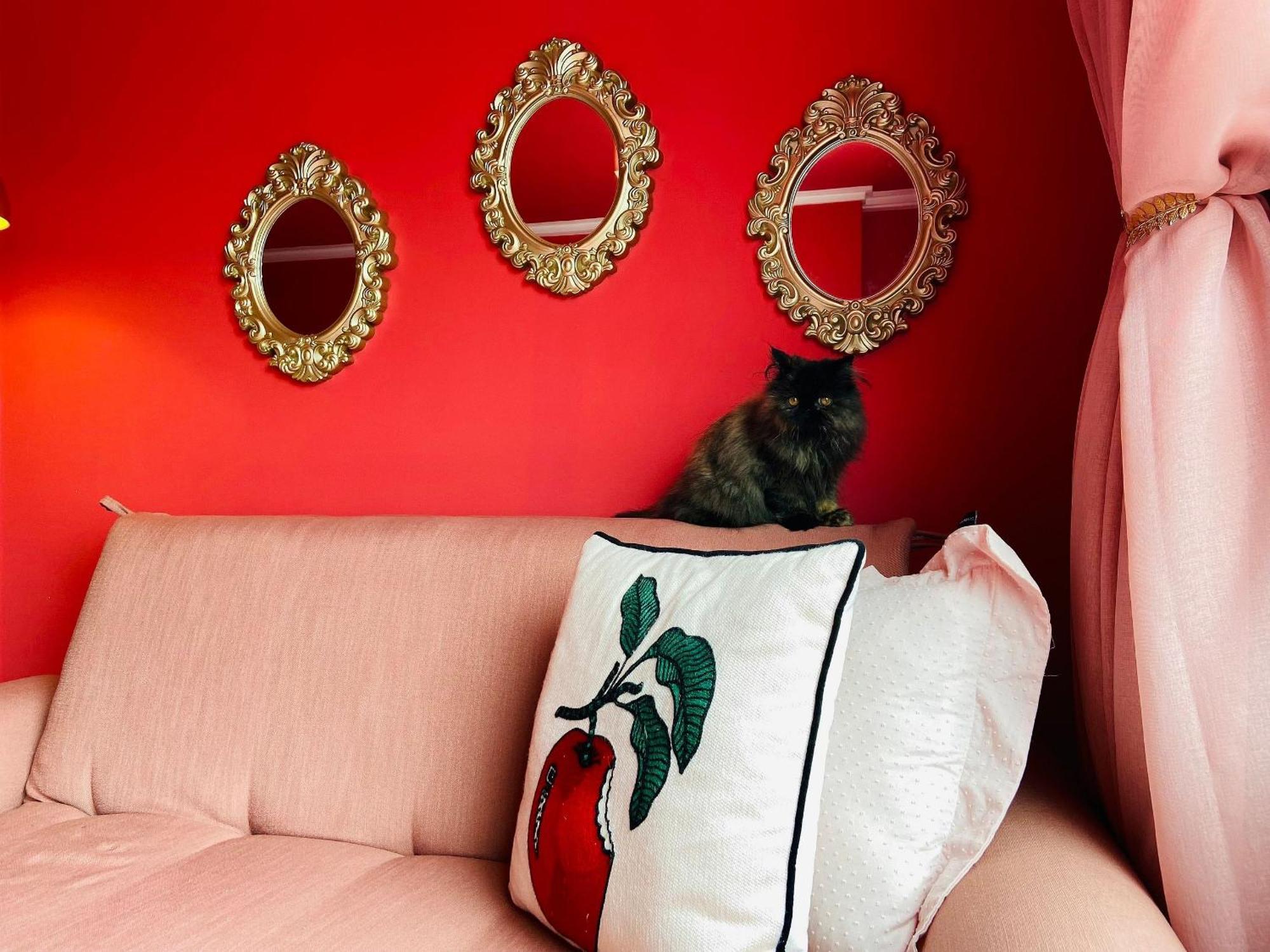 O Apartamento Rosa João Pessoa Extérieur photo